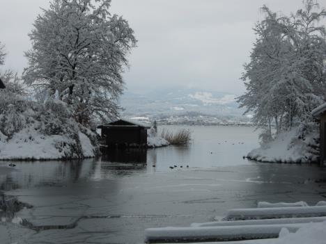 Schnee 030.jpg   24kb   26.03.2021 22:29:27